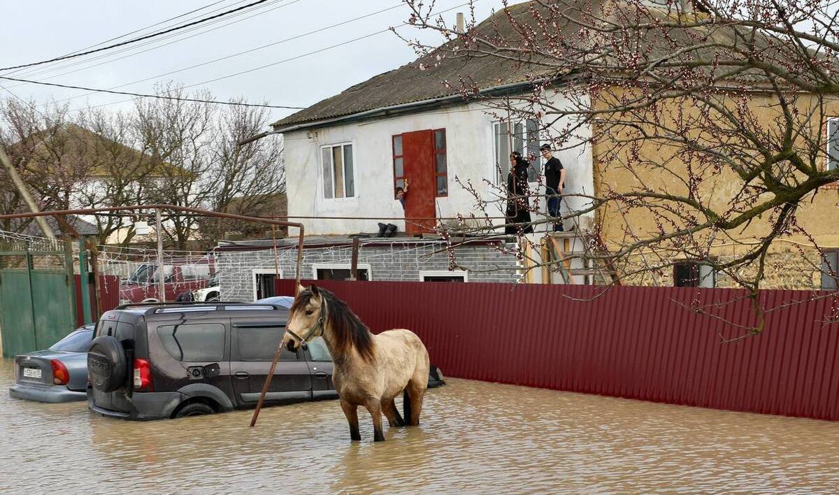Наводнение в Дагестане. Фото: Правительство Дагестана / Telegram