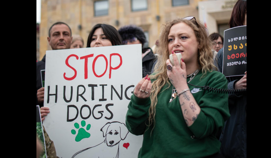 Акция протеста в Тбилиси. Скриншот фото Publika от 04.03.26, https://www.facebook.com/photo/?fbid=1723744409025102&set=pb.100041686795244.-2207520000 (деятельность компании Meta, владеющей соцсетью, запрещена в России) Акция протеста в Тбилиси. Скриншот фото Publika от 04.03.26, https://www.facebook.com/photo/?fbid=1723744409025102&set=pb.100041686795244.-2207520000 (деятельность компании Meta, владеющей соцсетью, запрещена в России)