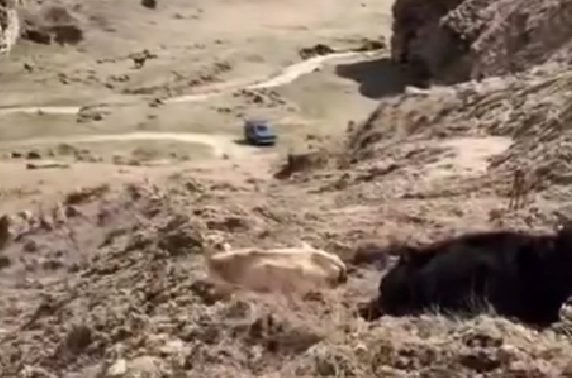 Заваленная дорога к селу Гуйми. Стоп-кадр видео https://www.instagram.com/p/DW_alk2DH5d/ (деятельность компании Meta, владеющей соцсетью, запрещена в России).