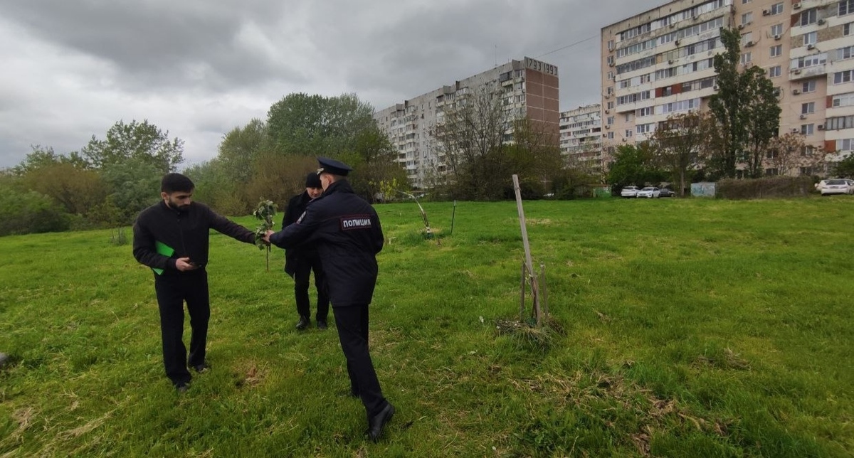 Полицейские принимают заявление об уничтожении зелёных насаждений в Юбилейном микрорайоне. Краснодар, 2 мая 2026 года. Фото из телеграм-канала "Краснодар ЮМР" https://t.me/KrasnodarUMR/25034