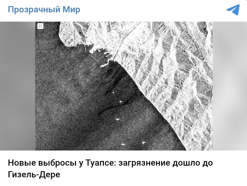 Публикация экологического мониторингового проекта "Прозрачный мир" от 6 мая https://t.me/twrussia/6044
