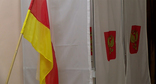 Избирательный участок во Владикавказе. Кадр из видео https://www.youtube.com/watch?v=wY04cubUVd8&t=10s