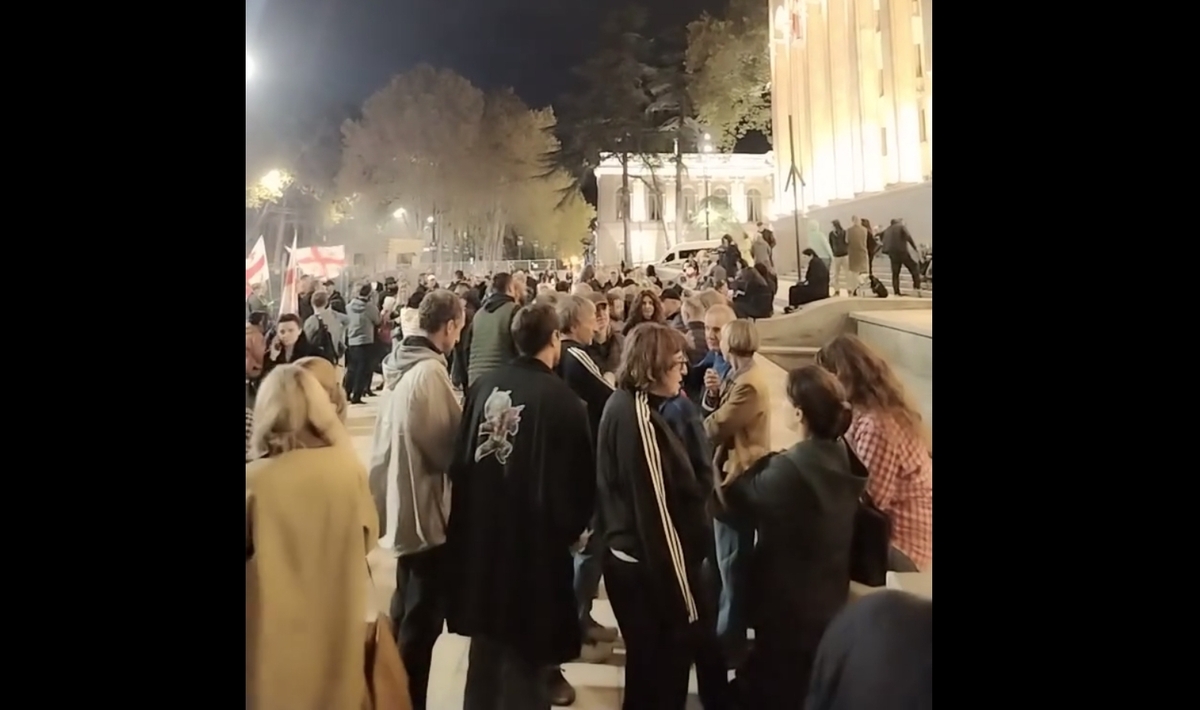 Протестующие у парламента Грузии. Кадр видео Giorgi Mumladze