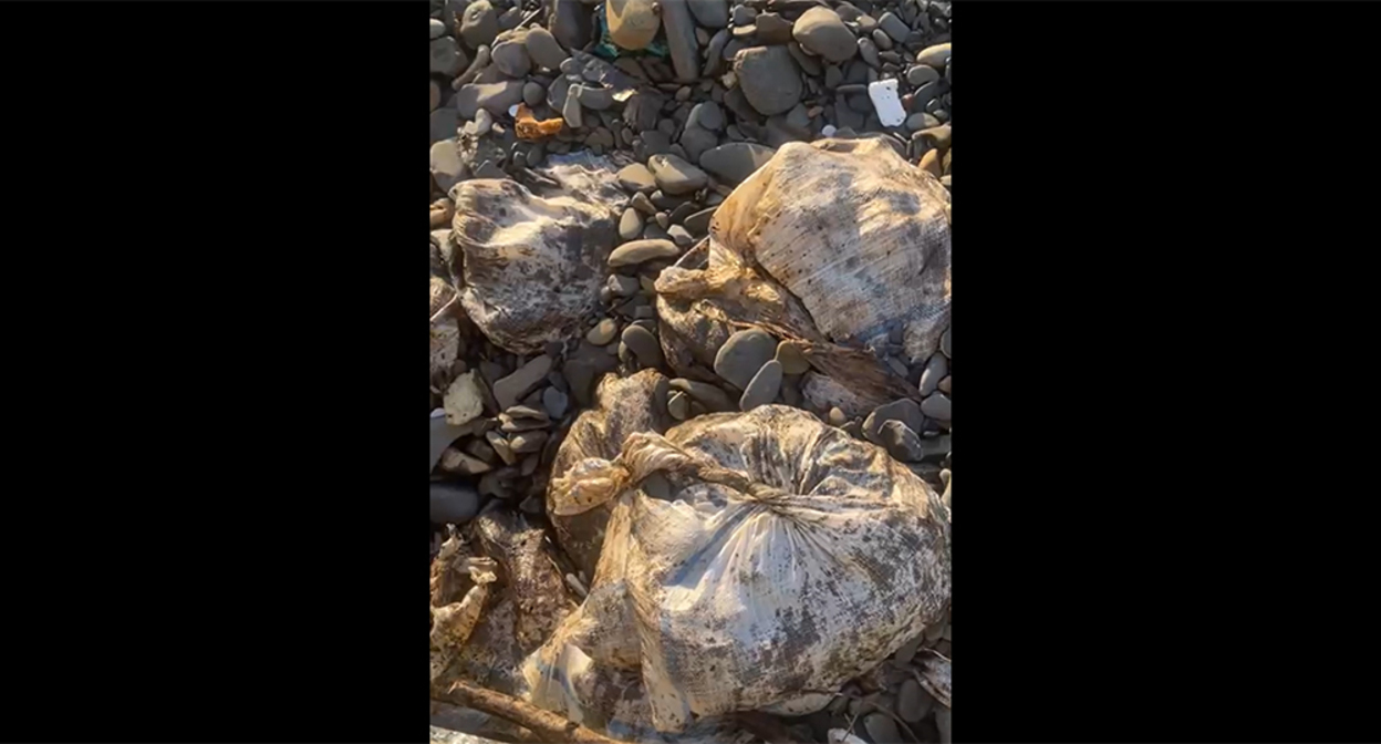 Мешки с мазутом на пляже в Мысхако. Кадр из видео https://t.me/evitishko/2707