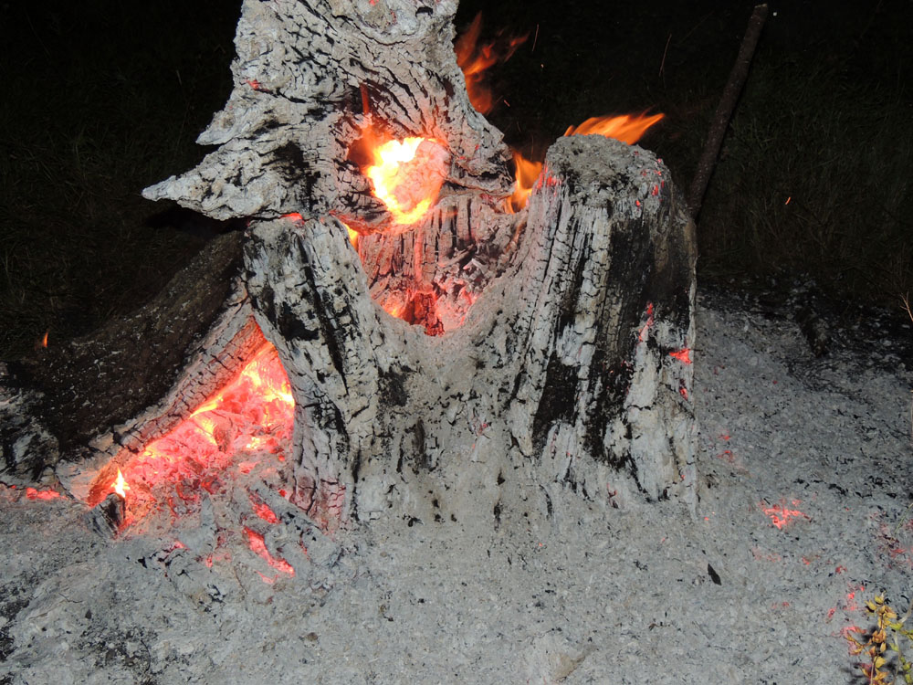 "Седые волосы" огня... "Седые волосы" огня...