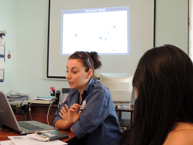 Презентацию проводит Ирина Бадалова. Презентацию проводит Ирина Бадалова.