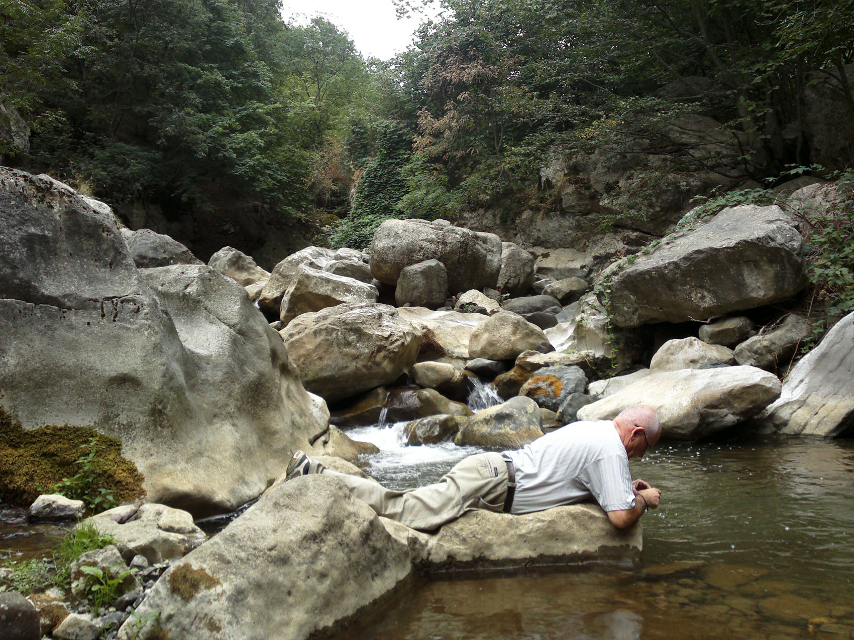 Пока я работал, коллега меня сфотографировала... Пока я работал, коллега меня сфотографировала...