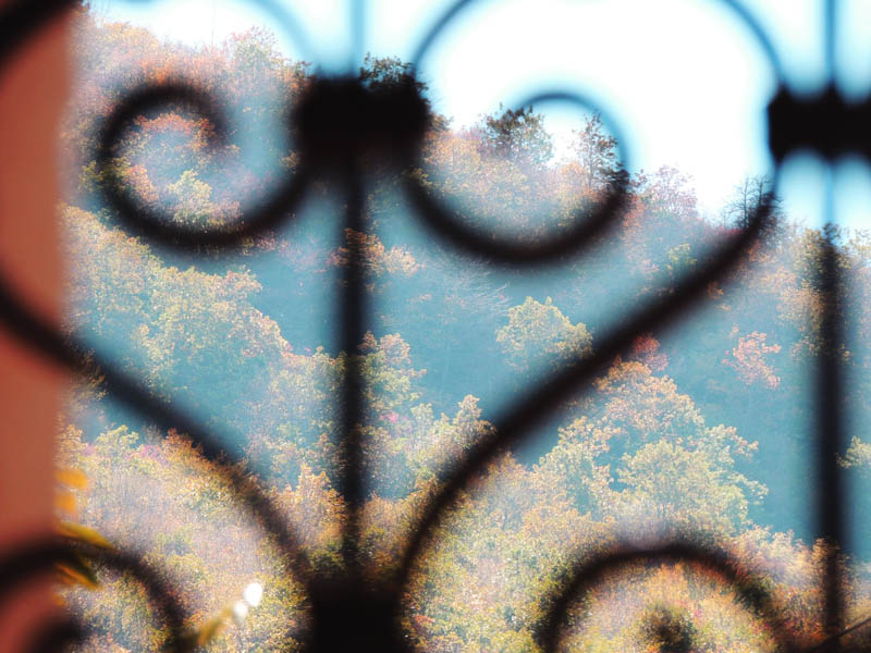 Решётка на втором плане. Снято зумом. Решётка на втором плане. Снято зумом.