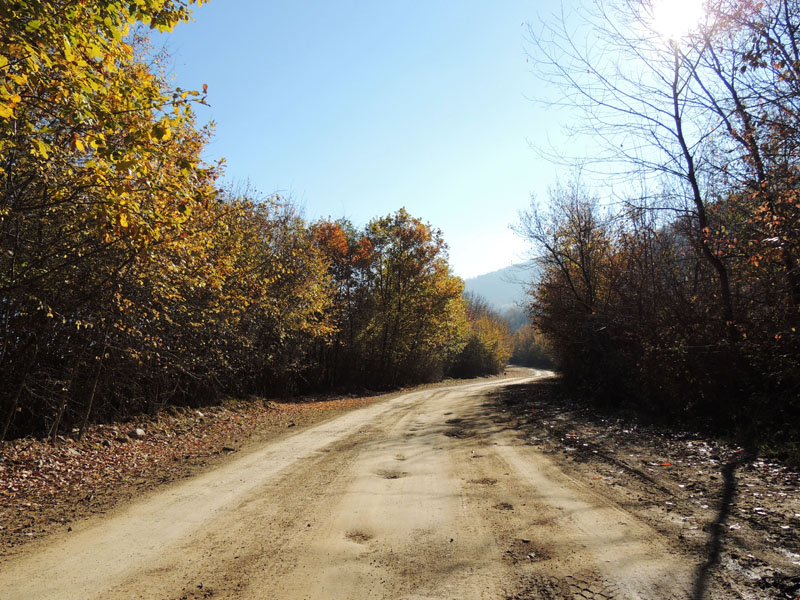Дальше, проехав по мосту через речку, мы выехали на грунтовую дорогу и углубились в лес... Дальше, проехав по мосту через речку, мы выехали на грунтовую дорогу и углубились в лес...