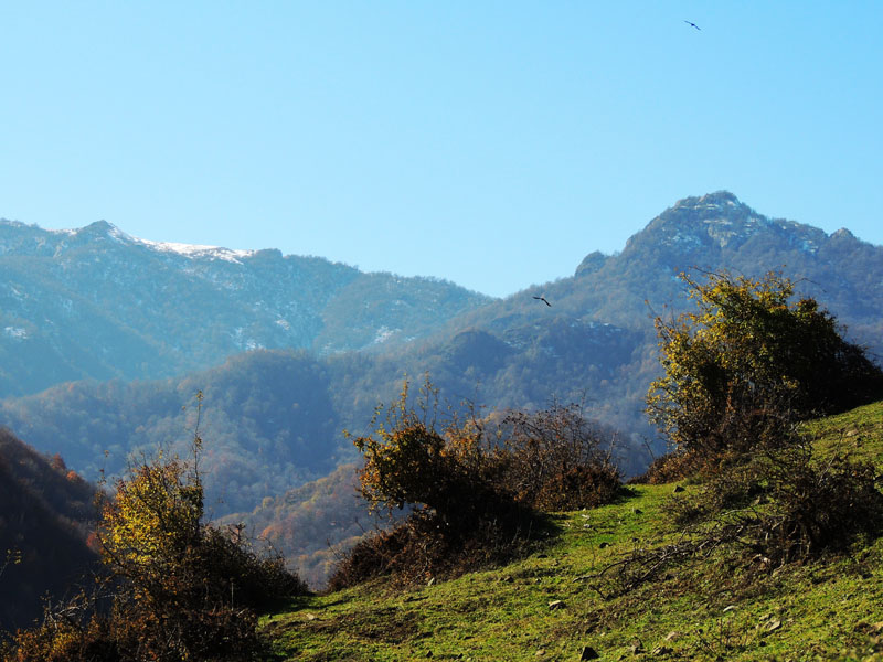 Видны парящие орлы. Видны парящие орлы.