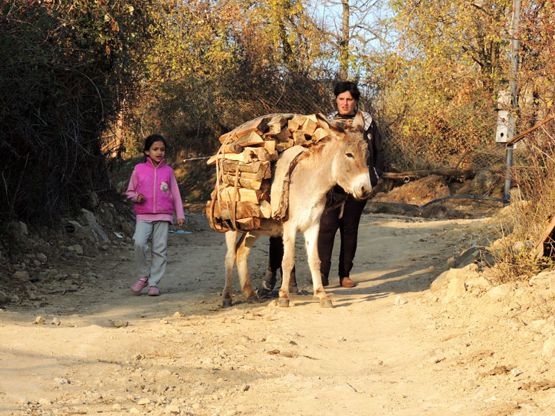 Заготовка дров на зиму. с.Ванк. Заготовка дров на зиму. с.Ванк.