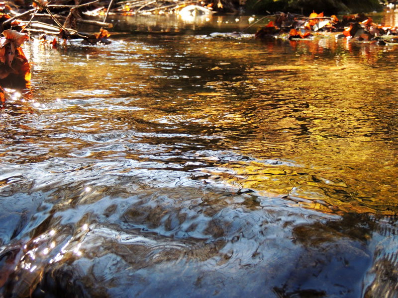 А здесь вода немного разлилась. А здесь вода немного разлилась.