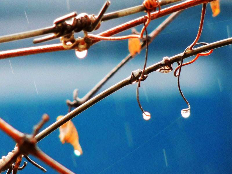 На синем фоне. На синем фоне.