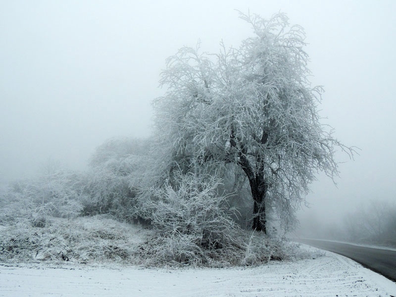 Фото 2. Фото 2.