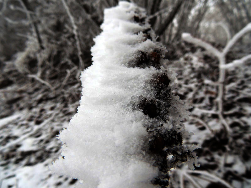 Фото 15. Фото 15.