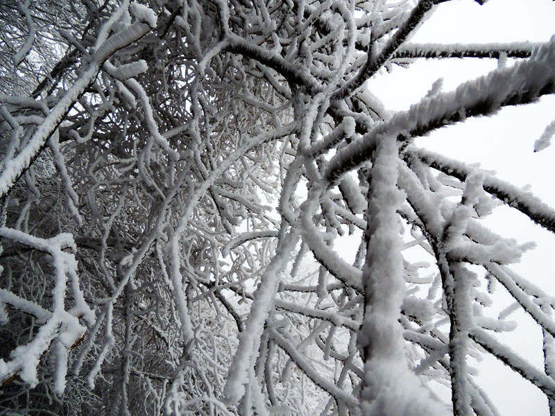 Фото 16. Обычная фотосьёмка. Фото 16. Обычная фотосьёмка.