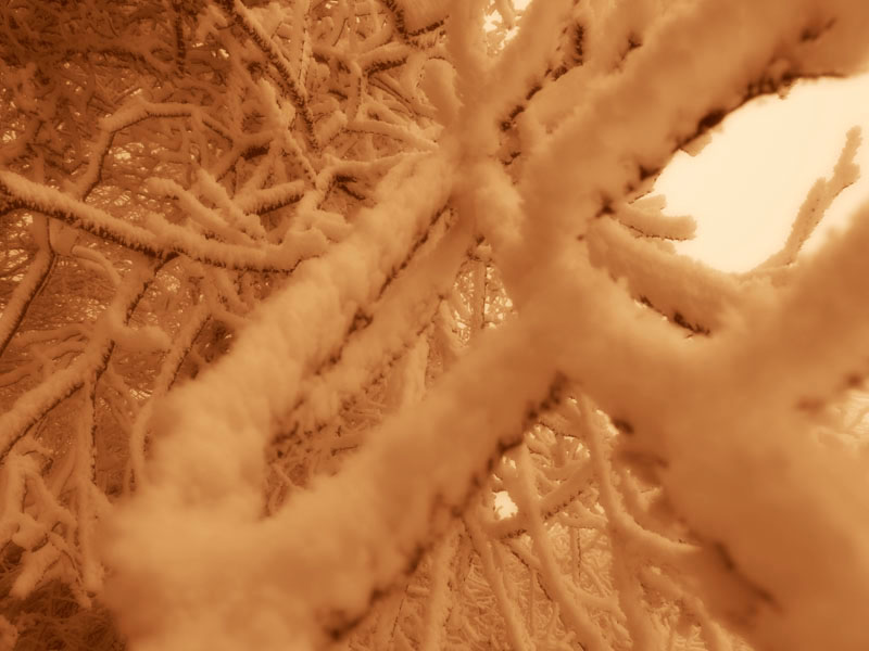 Фото 20. Ностальгическая сепия. Фото 20. Ностальгическая сепия.