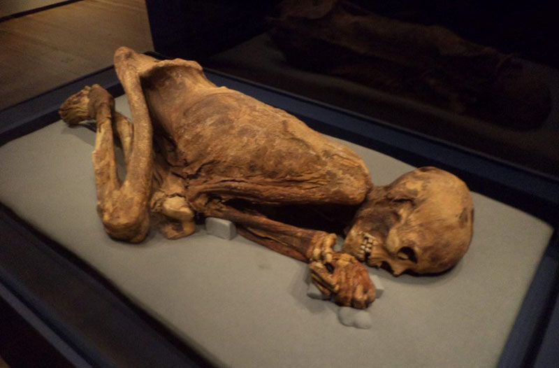 Лондон. В музее Британии. Мумии. Лондон. В музее Британии. Мумии.