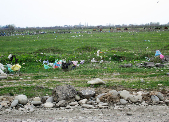 Полиэтиленовый мусор...