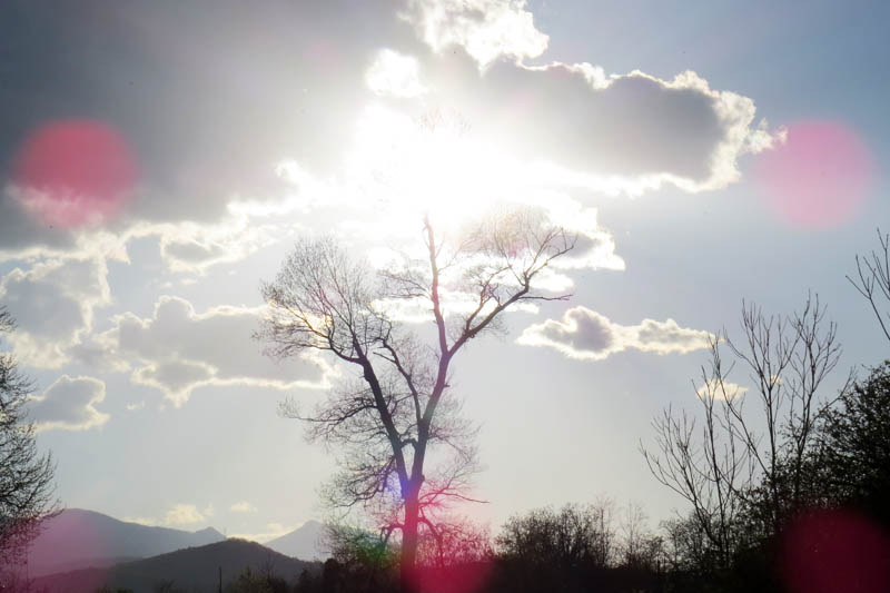 Резко вышло солнце и ослепило объектив фотоаппарата.