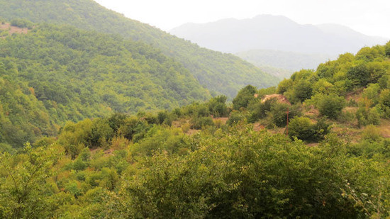 По дороге из Тога в Туми.