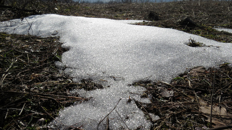 Последний снег. Последний снег.