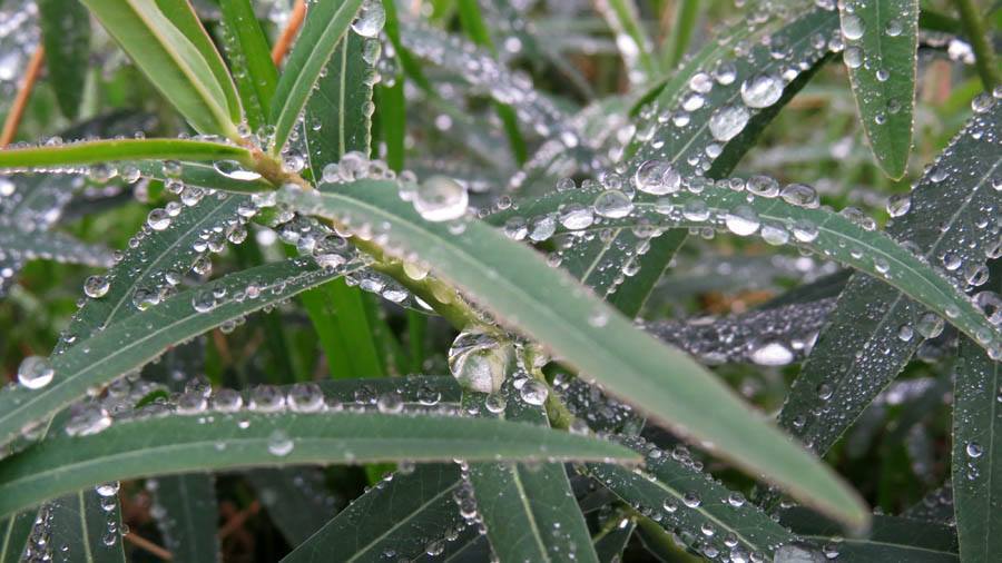 Моё прошлогоднее фото - 3. Моё прошлогоднее фото - 3.