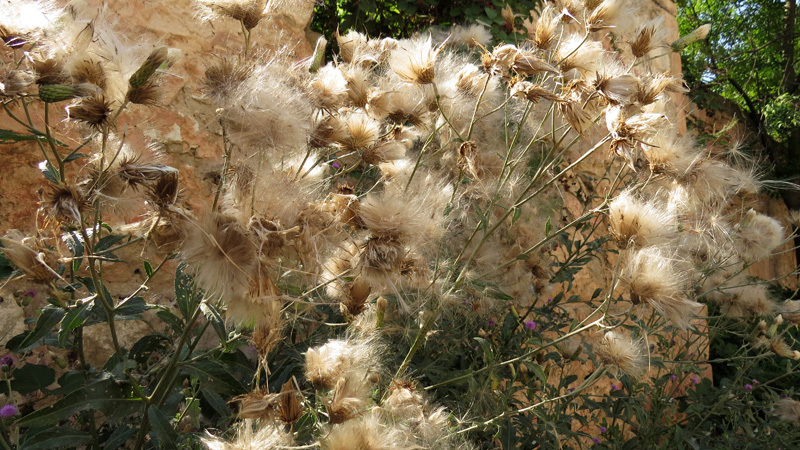 Зарисовка 3. Зарисовка 3.