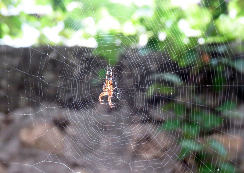 Зарисовка 4. Зарисовка 4.