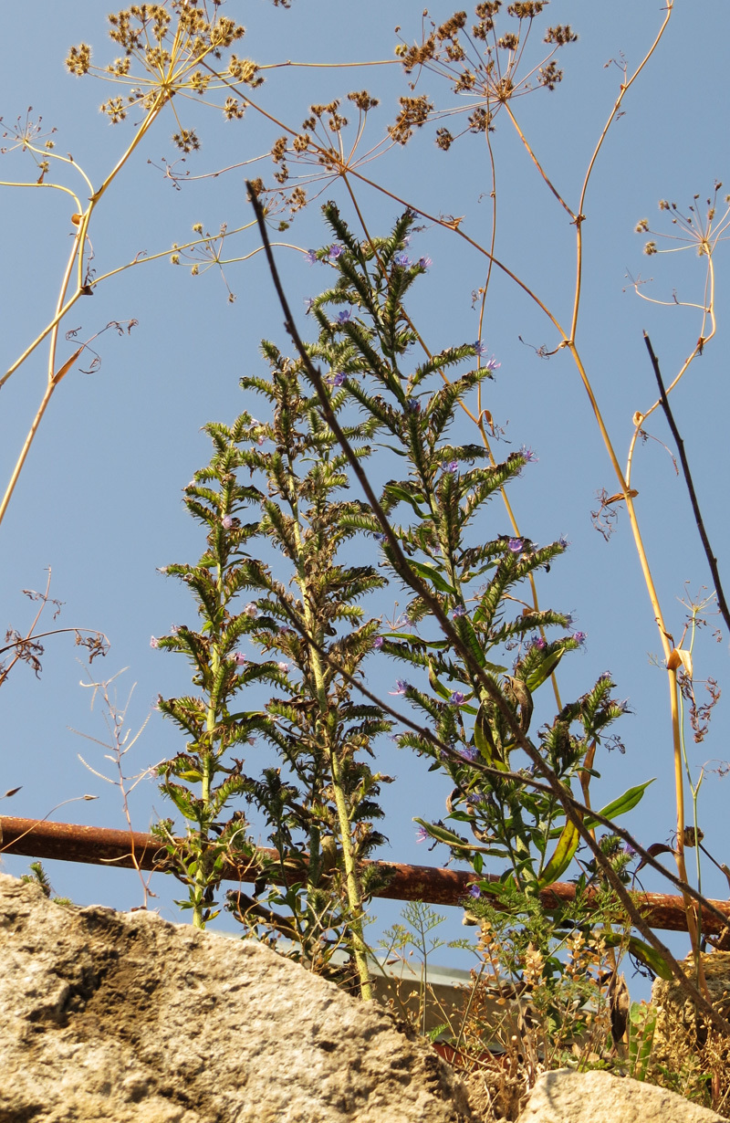 Зарисовка 6. Зарисовка 6.