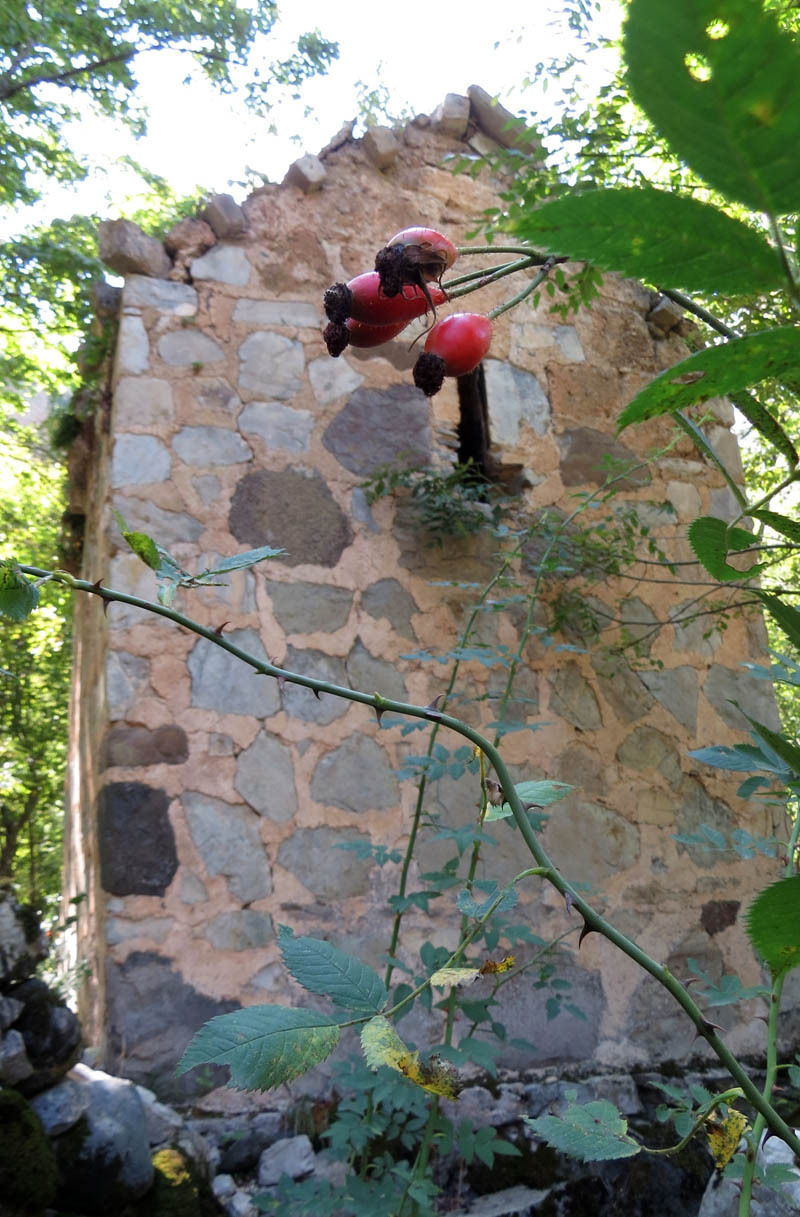 Монастырь Пресвятой Богородицы (12-13 вв.). Монастырь Пресвятой Богородицы (12-13 вв.).