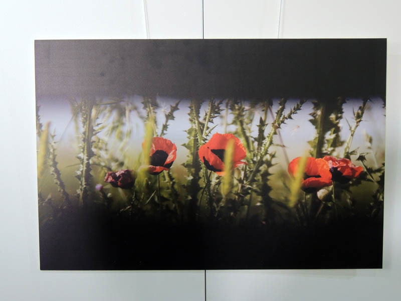 Линия фронта. Фотосюжет. Линия фронта. Фотосюжет.