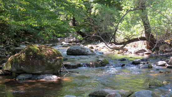 Фотозарисовка - 1.