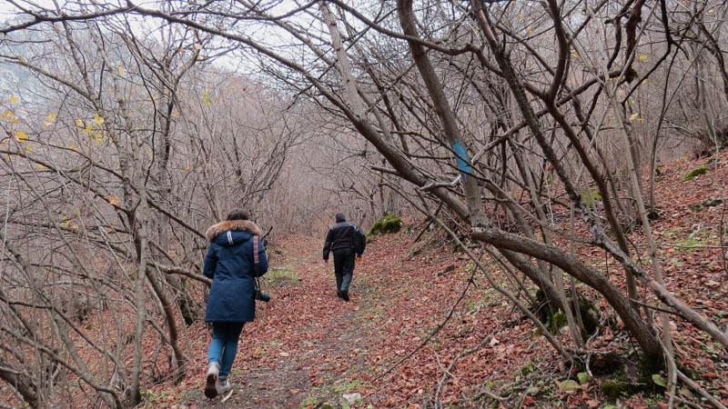  Сухой лист ковром растилался под нашими ногами, было приятно ступать по нему…