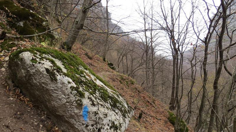 На деревьях и скалах были отметки (синие полоски), указывающие нам правильный путь.