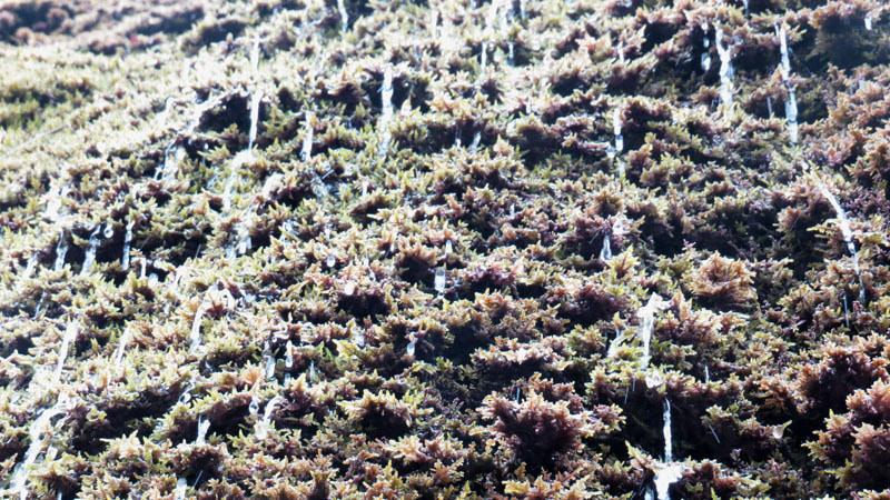 Водопад "Зонтики" 10.